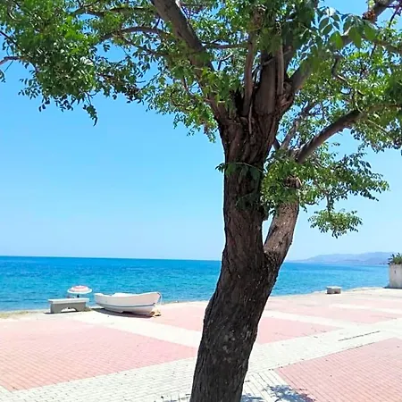 Al Vico Art 3* Crosia